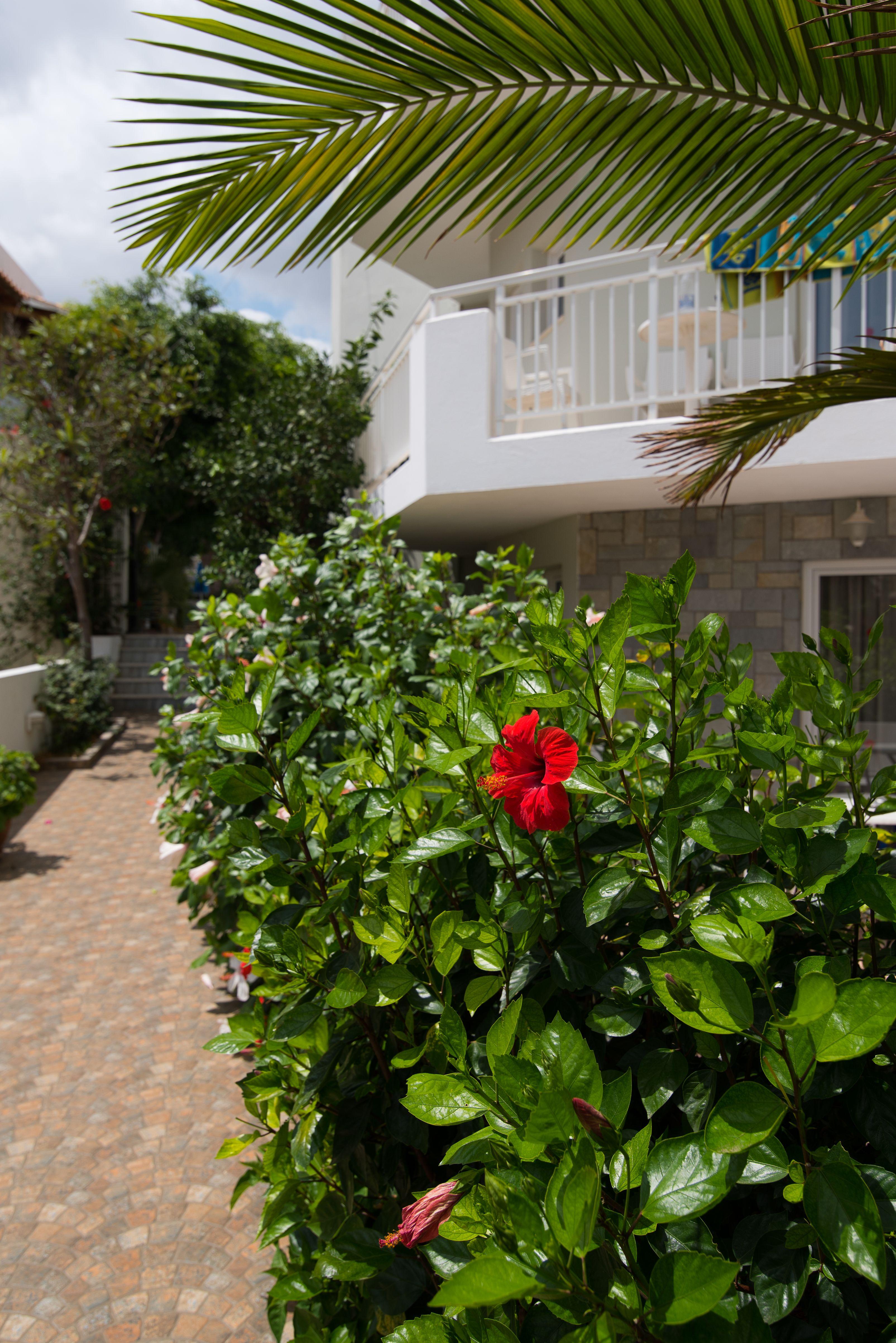 מאליה Melissa Apartments, Studios & Suites מראה חיצוני תמונה